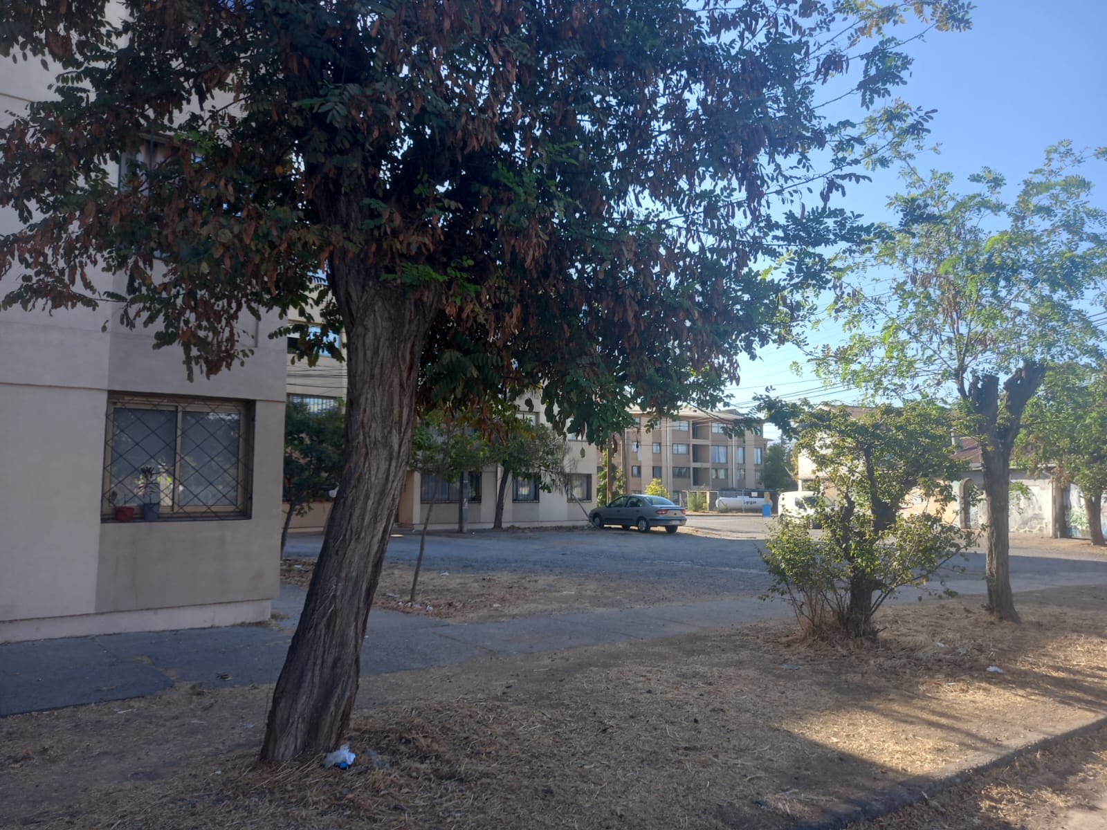 DEPARTAMENTO RANCAGUA