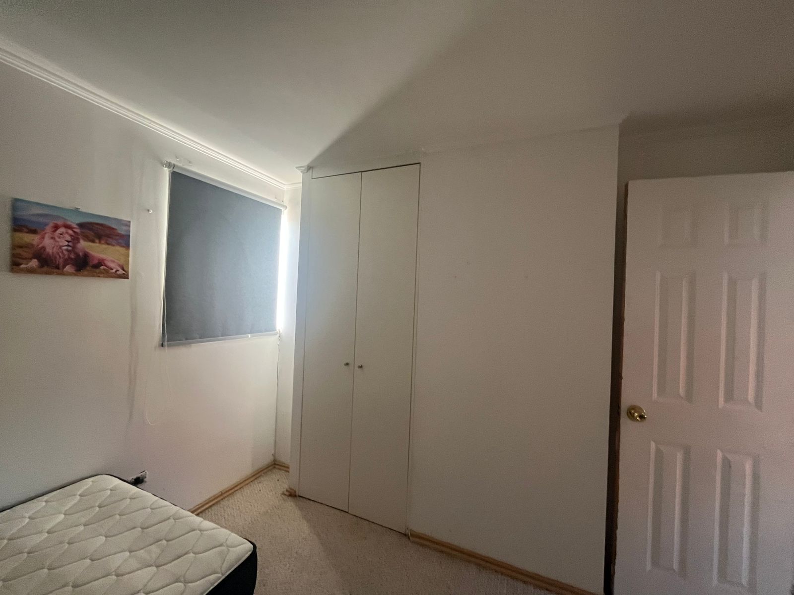 CASA ARRIENDO MACHALÍ