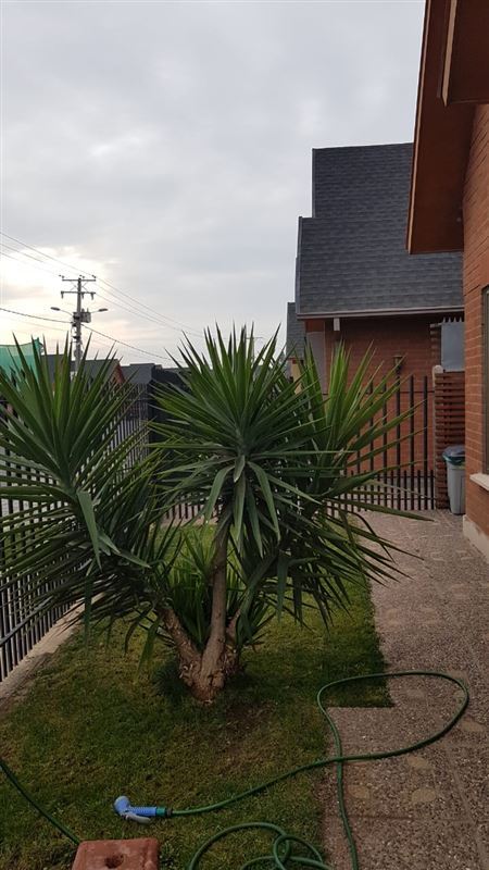 ARRIENDO MACHALI