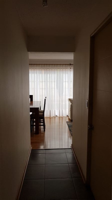 ARRIENDO MACHALI
